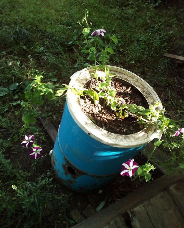 Клумба из стиральной машины