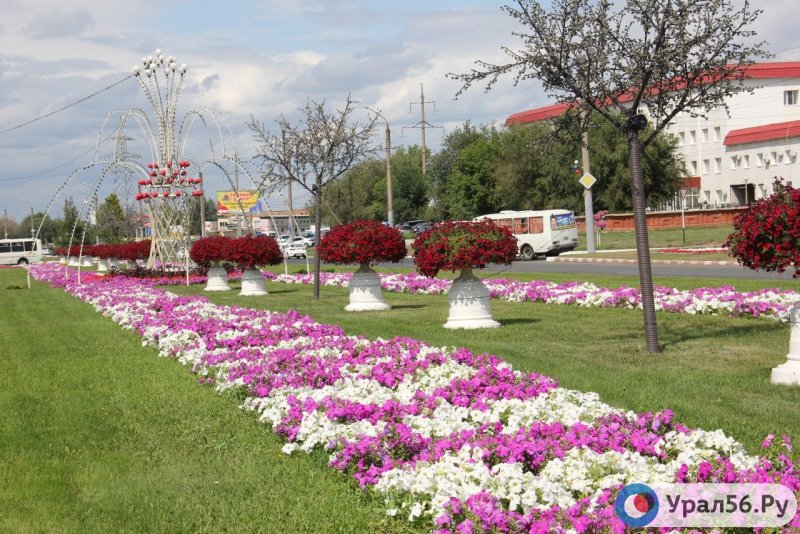 Клумба на улице