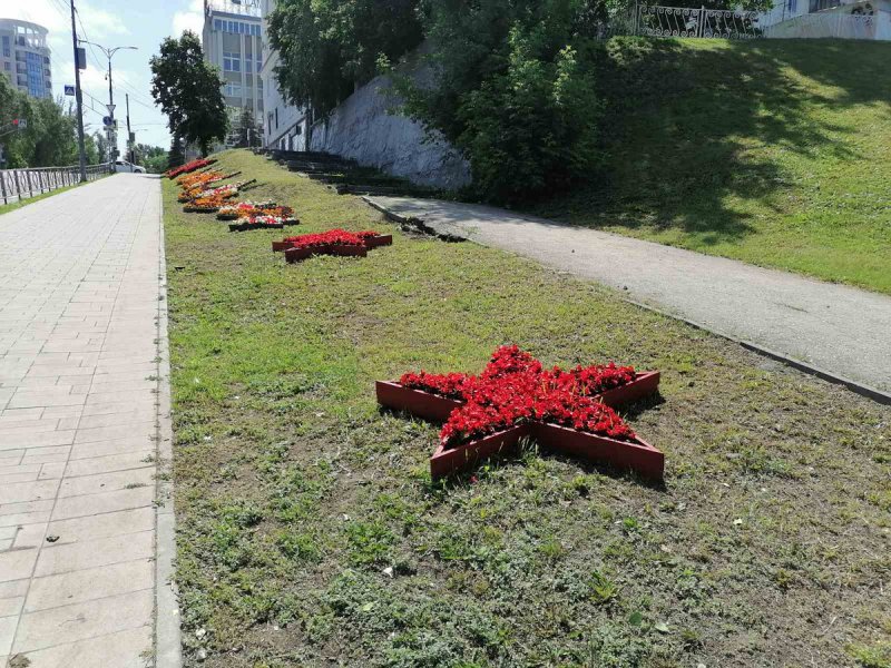 Звезда Победы клумба