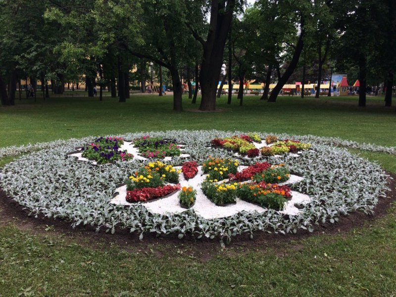 Цветники Александровский сад СПБ
