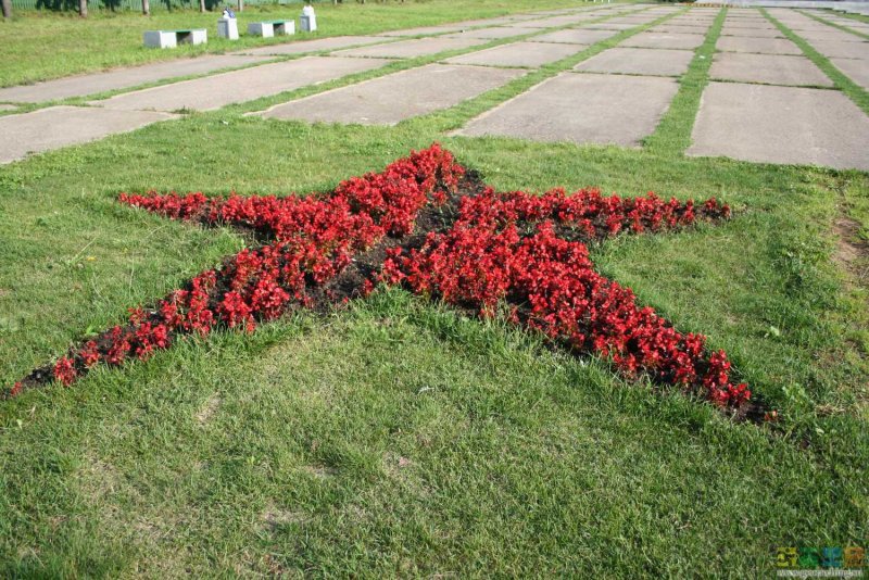 Цветочная клумба в форме звезды