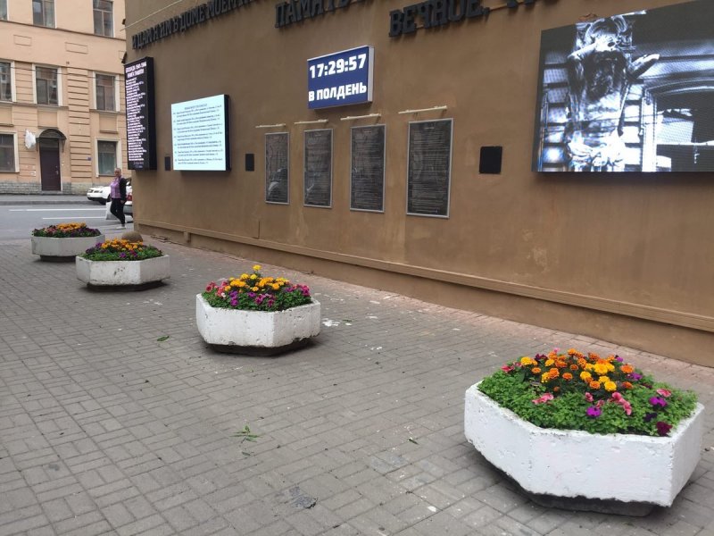 Клумба проспект Победы