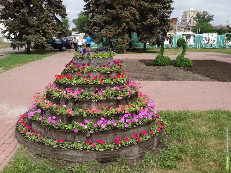 Новосибирск районы Академгородок