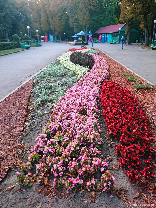 Тургеневская клумба