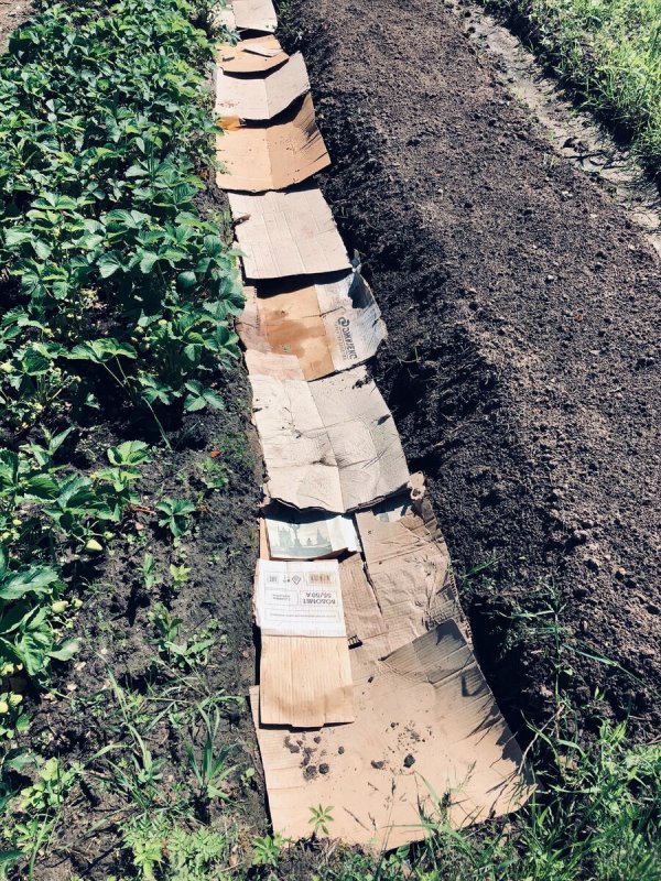 Дорожки на даче дешево под ключ