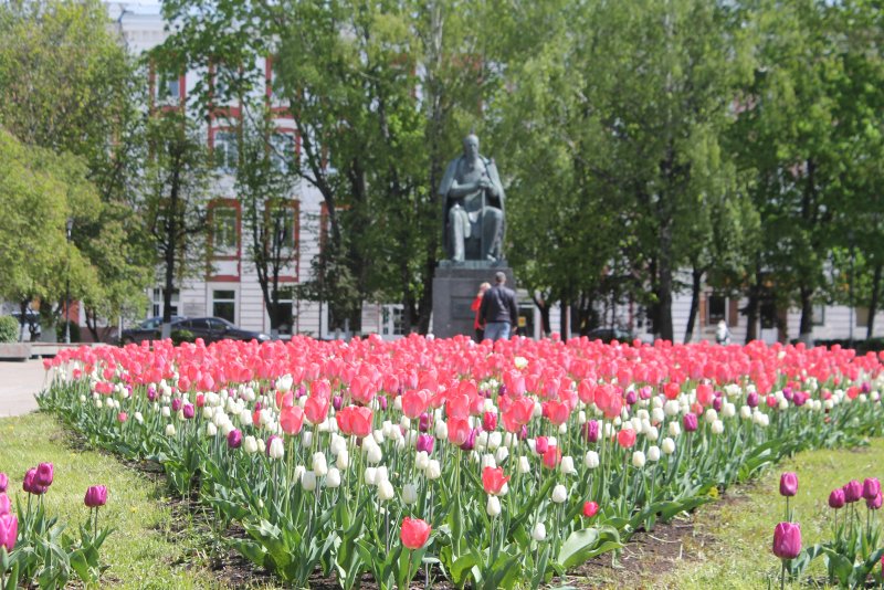 Клумба на стрелке Ярославль