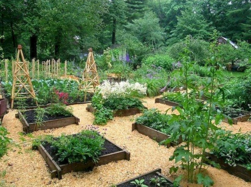 Садовые дорожки из гравия