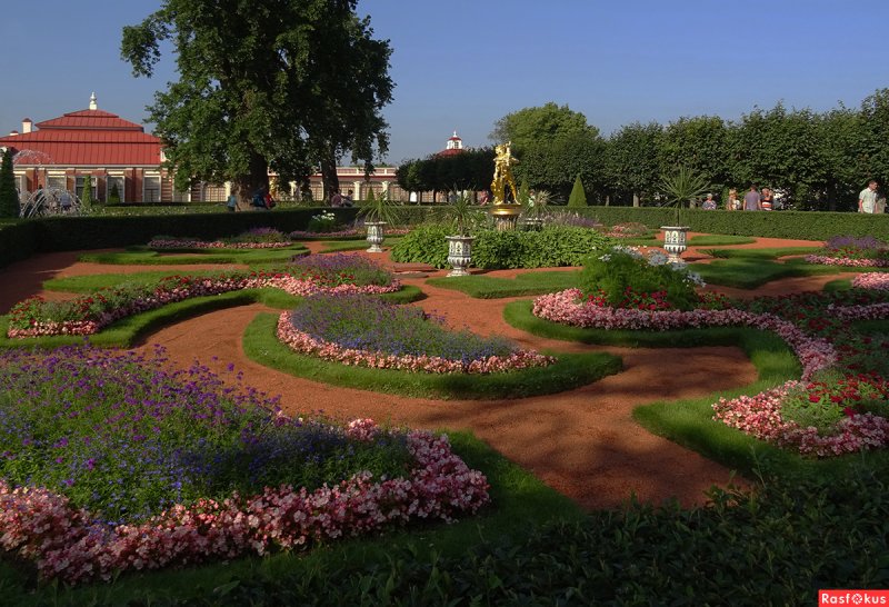 Клумбы Петергофа (48 фото)