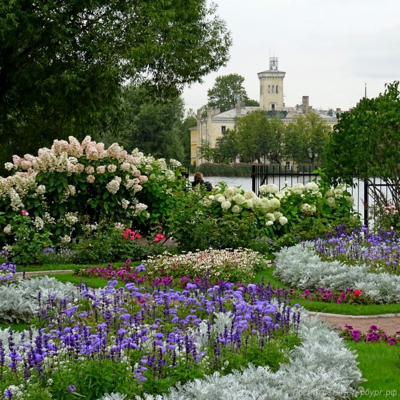 Петродворец парк цветы