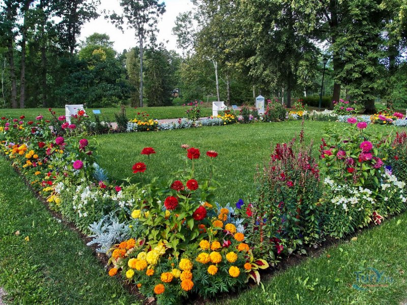 Клумбы Петергофа