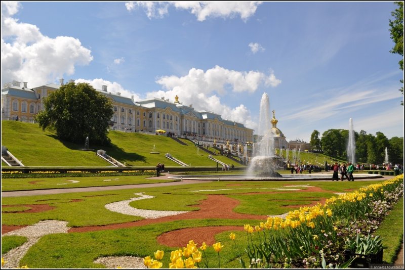 Цветники Петергофа