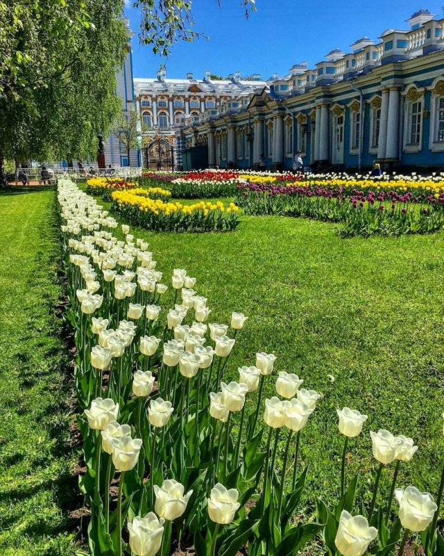 Екатерининский дворец Петергоф
