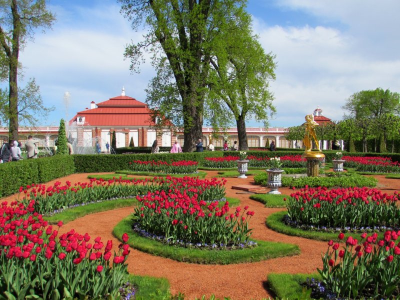 Партерный парк Петергоф