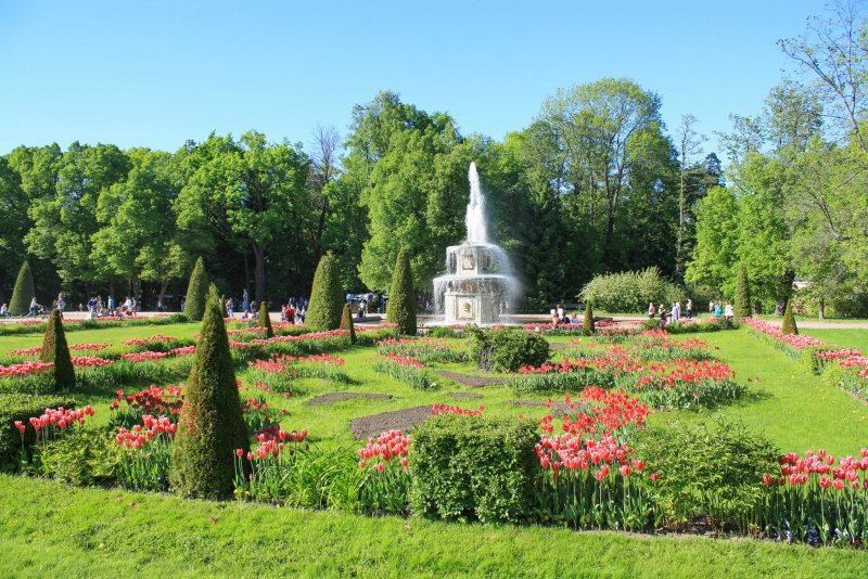 Петергофе весенний парк