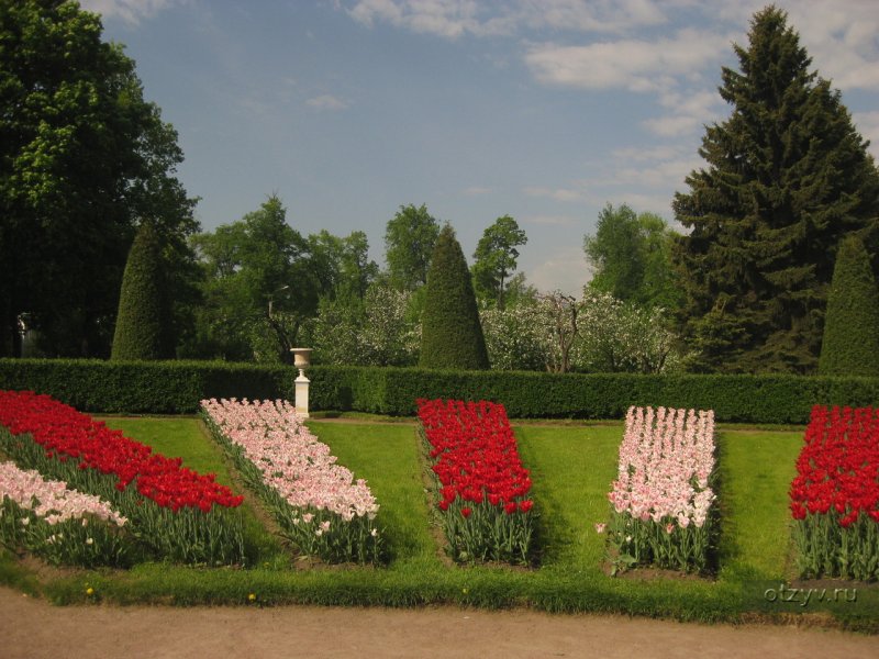 Клумбы Петергофа
