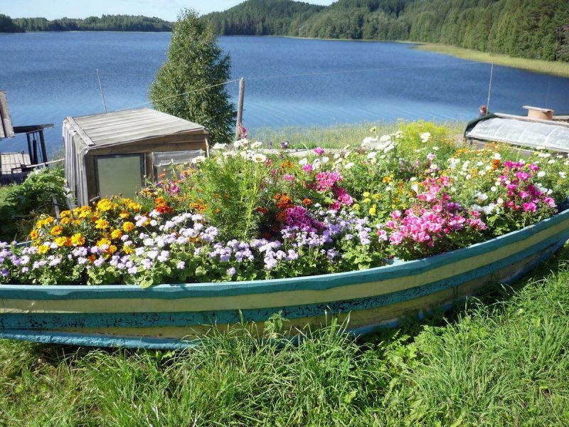 Клумба в старой лодке