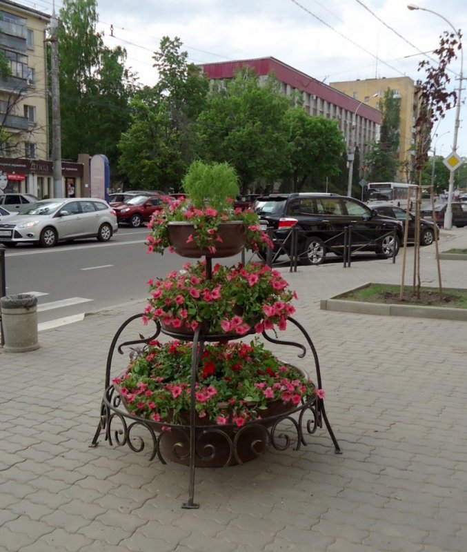 Цветочницы уличные