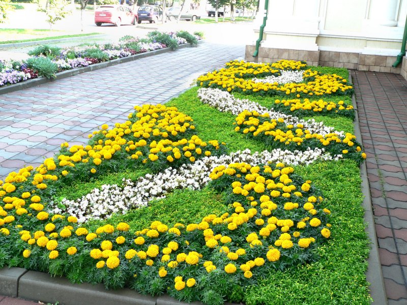 Моноклумба клумба
