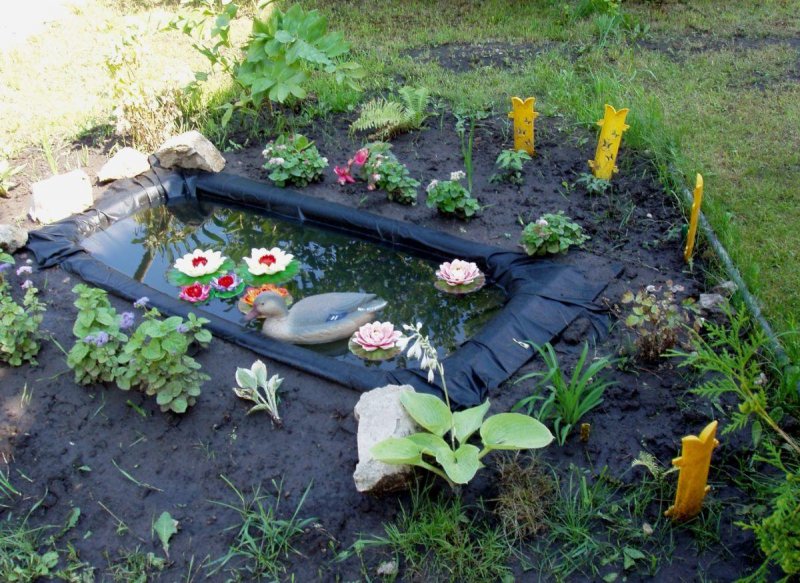 Прудик из старой ванны на даче