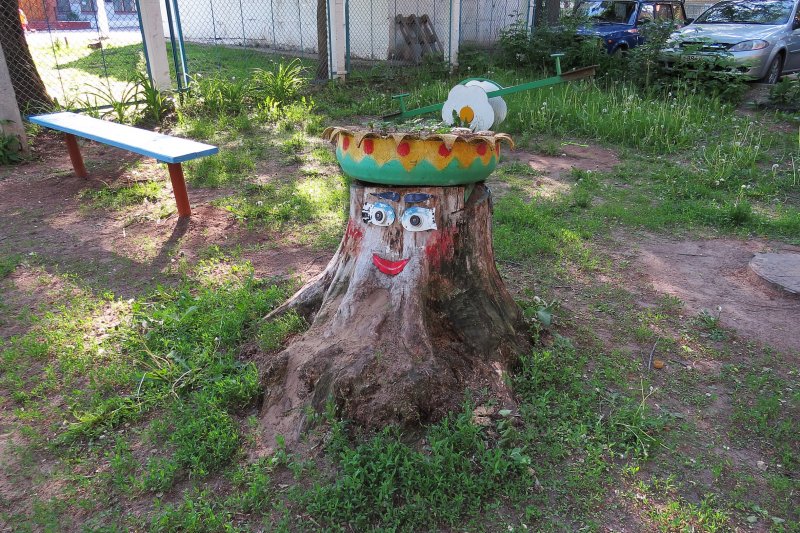 Пни на участке детского сада