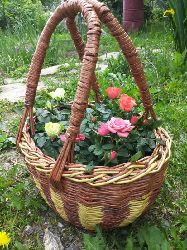 Плетеная корзина в саду