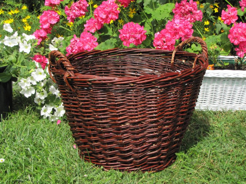 Клумба из лозы