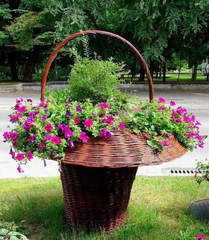 Клумба корзина (46 фото)