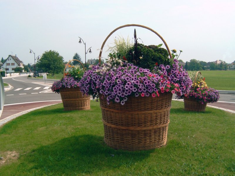 Клумба из корзины для дачи