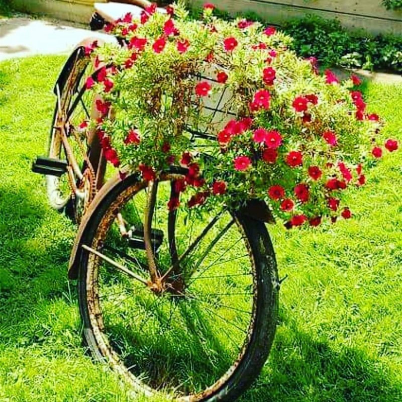 Велосипед в декоре сада