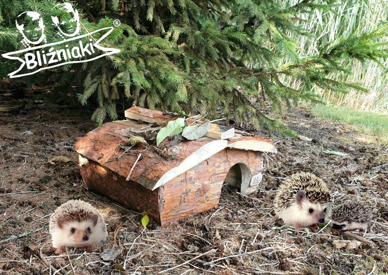 Домик для диких ежей
