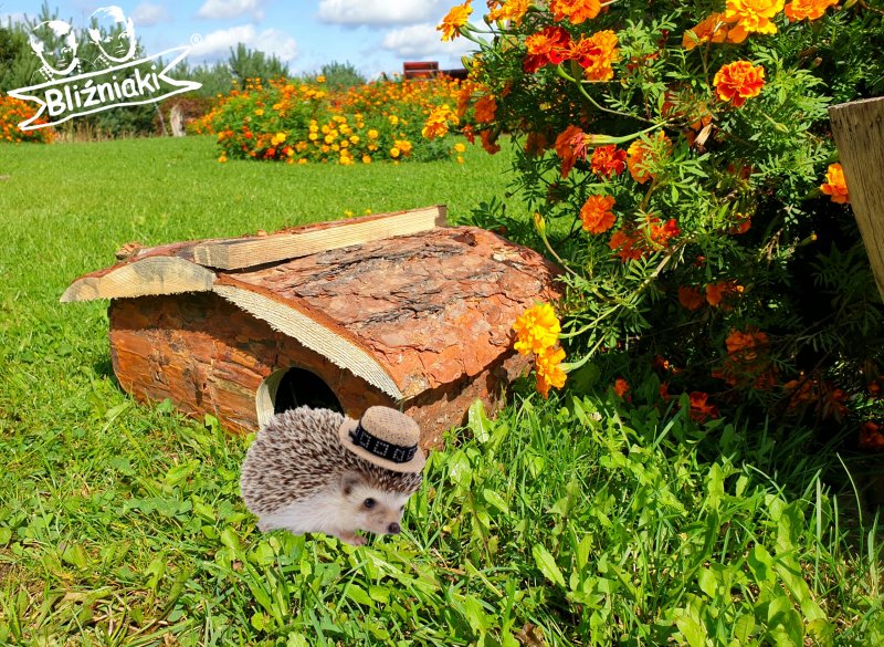 Домик для ежей