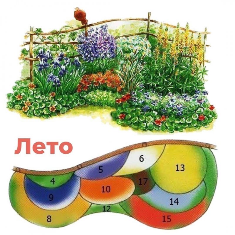 Клумбы миксбордеры непрерывного цветения