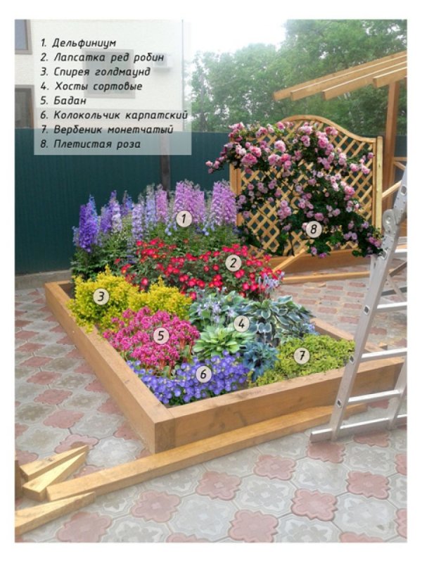 Прямоугольные клумбы с многолетками