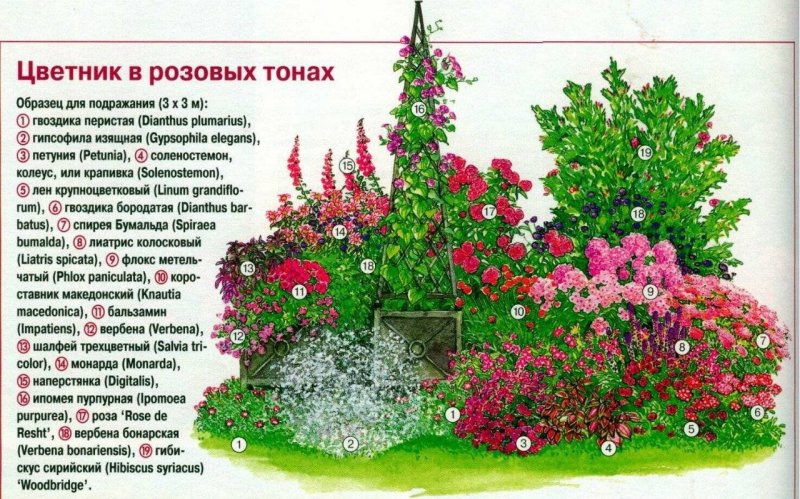 Миксбордеры из многолетников схемы перед домом