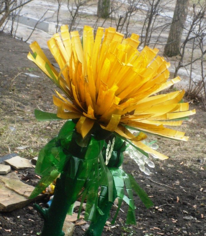 Одуванчикизпла т ковойбутылки