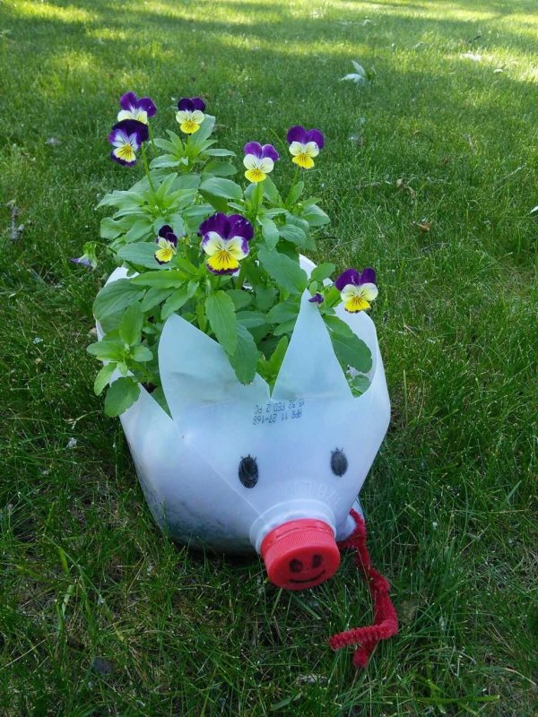 Клумбы из бутылок
