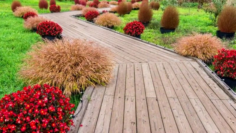 Дорожки из дерева