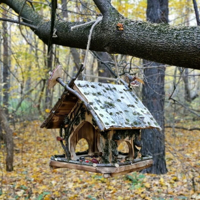 Необычные кормушки для белок