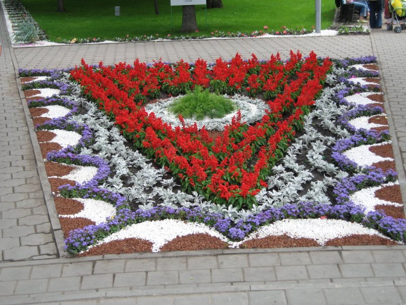 Городские клумбы