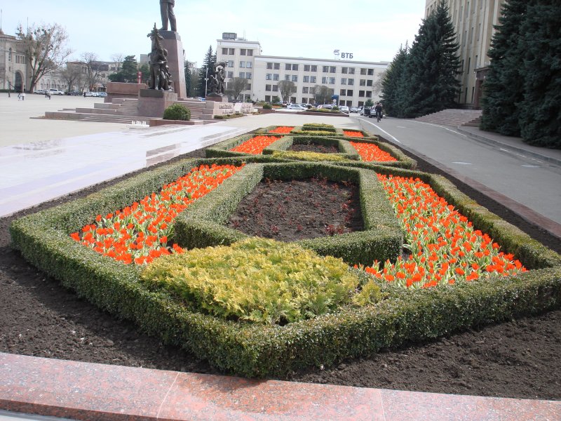 Городские клумбы