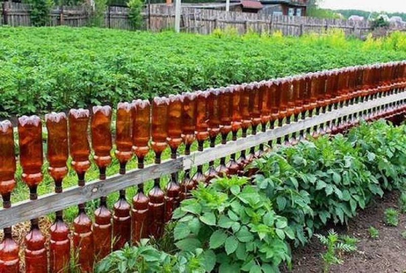 Забор из бутылок