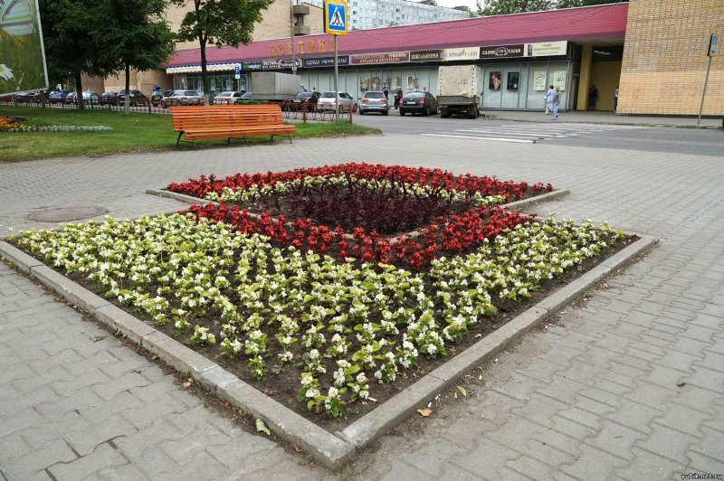Прямоугольная клумба
