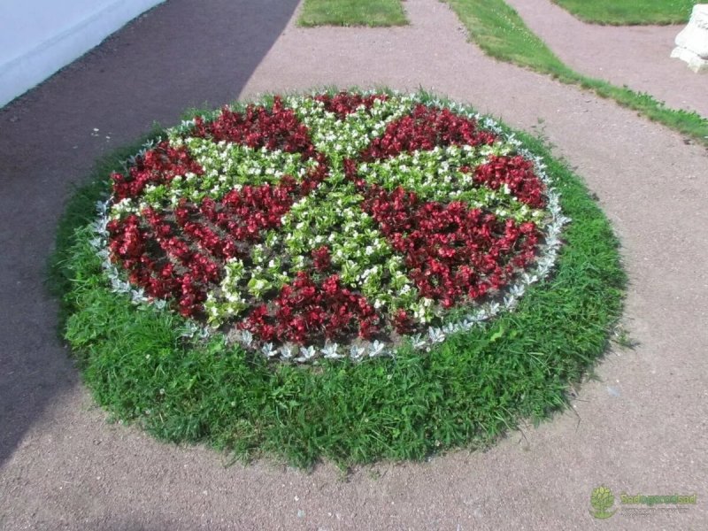 Круглые цветочные клумбы