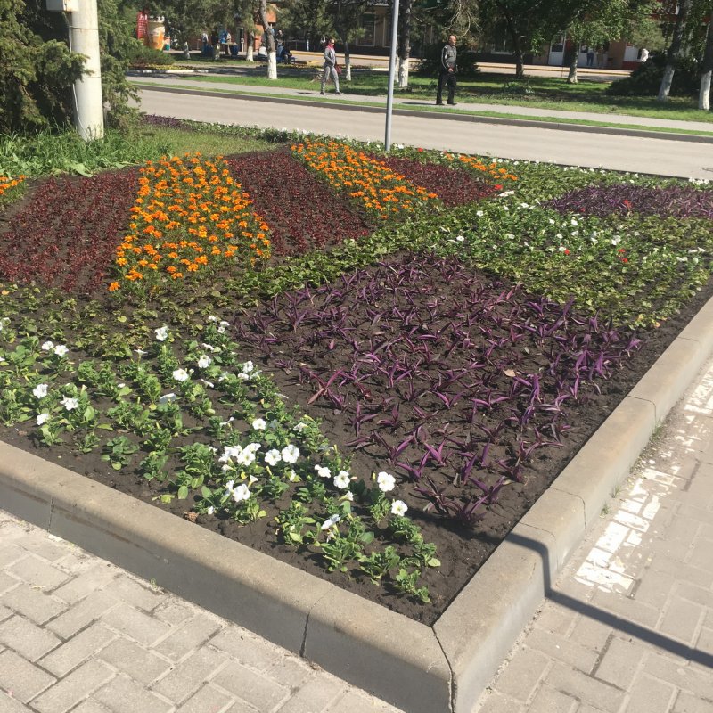 Летние клумбы