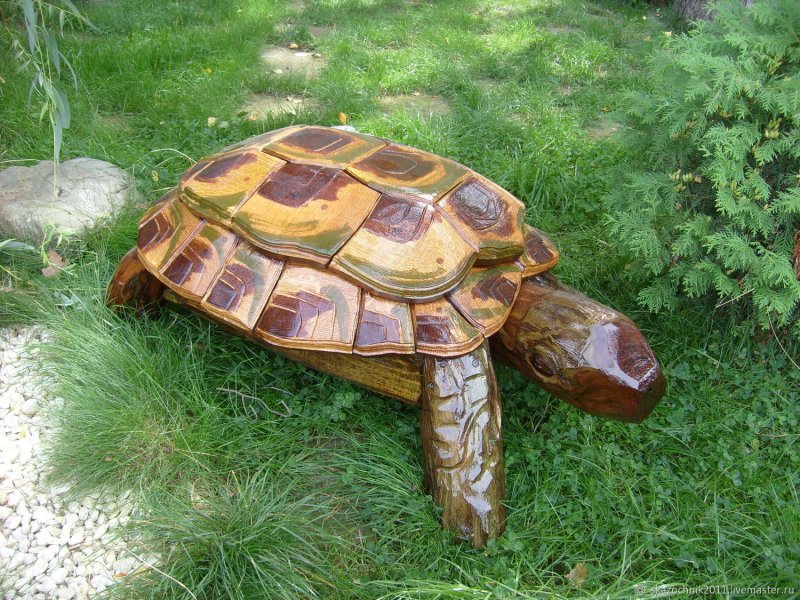 Черепаха из