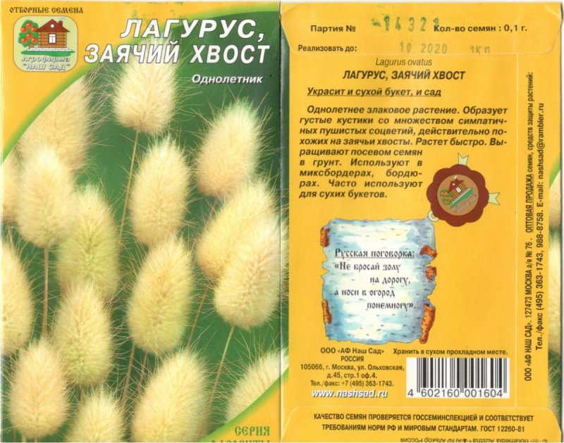 Зайцехвост cухоцвет