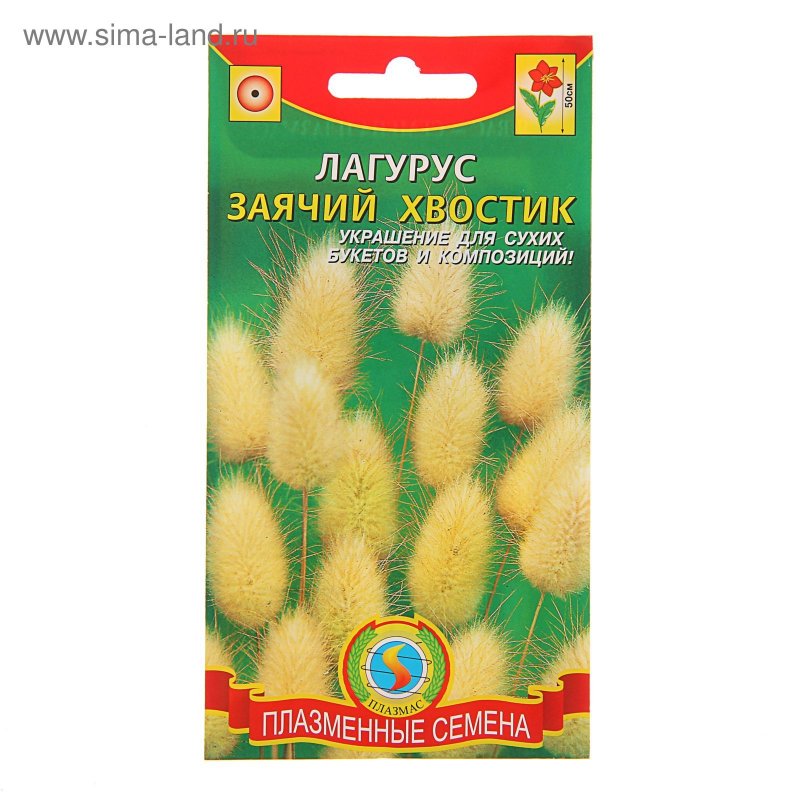 Лагурус желтый