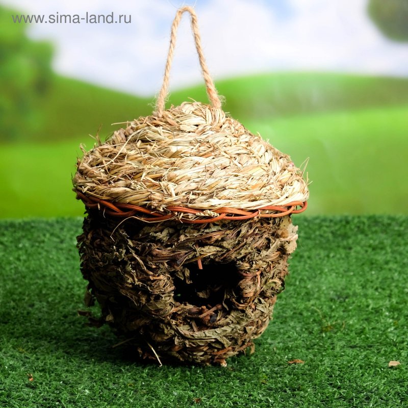 Декоративные улики