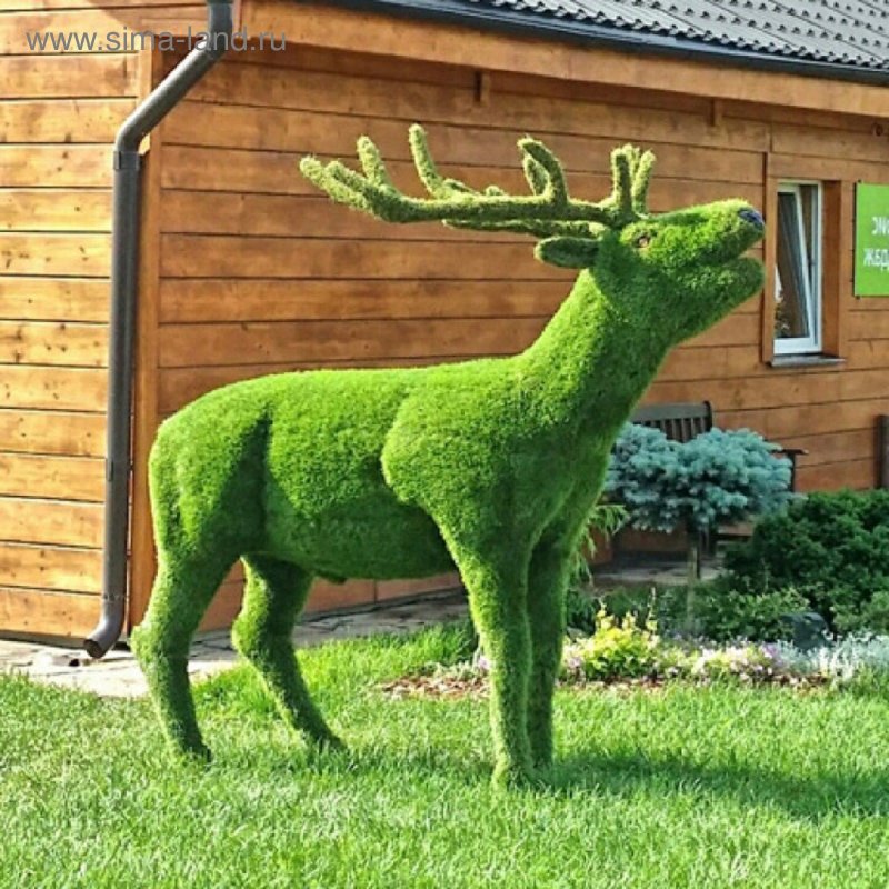 Зеленые скульптуры для сада