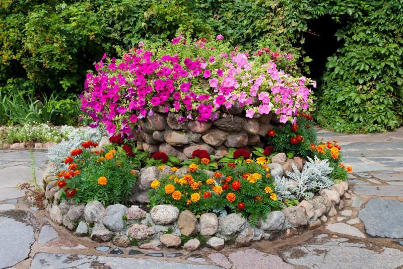 Клумба Альпийская горка с бархатцами